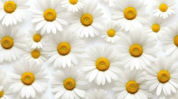 Daisy flower patterned background. Flower texture background. Generative AI photo