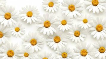 Daisy flower patterned background. Flower texture background. Generative AI photo