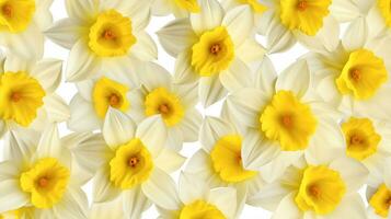 Daffodil flower patterned background. Flower texture background. Generative AI photo