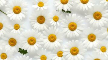 Daisy flower patterned background. Flower texture background. Generative AI photo