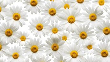 Daisy flower patterned background. Flower texture background. Generative AI photo