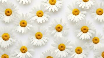 Daisy flower patterned background. Flower texture background. Generative AI photo