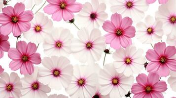 Cosmos flower patterned background. Flower texture background. Generative AI photo