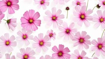 Cosmos flower patterned background. Flower texture background. Generative AI photo