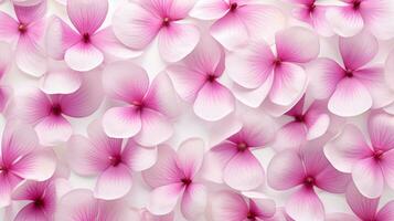 Cyclamen flower patterned background. Flower texture background. Generative AI photo