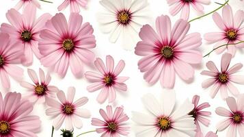 Cosmos flower patterned background. Flower texture background. Generative AI photo