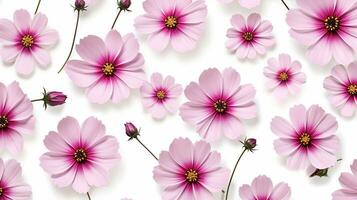 Cosmos flower patterned background. Flower texture background. Generative AI photo