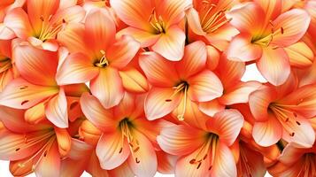 clivia flor estampado antecedentes. flor textura antecedentes. generativo ai foto