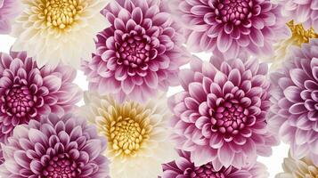 Chrysanthemum flower patterned background. Flower texture background. Generative AI photo