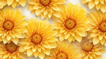 Chrysanthemum flower patterned background. Flower texture background. Generative AI photo