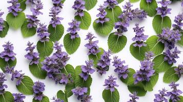 Catmint flower patterned background. Flower texture background. Generative AI photo