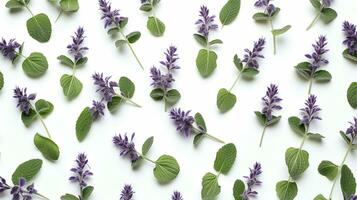 Catmint flower patterned background. Flower texture background. Generative AI photo