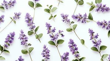 Catmint flower patterned background. Flower texture background. Generative AI photo