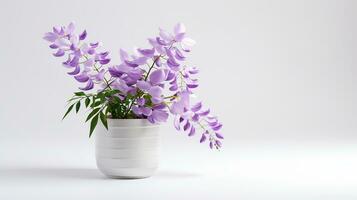 Photo of Wisteria flower in pot isolated on white background. Generative AI