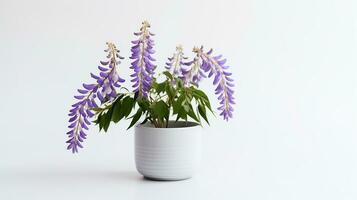 Photo of Wisteria flower in pot isolated on white background. Generative AI