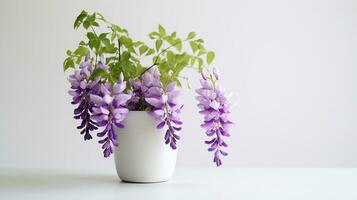 Photo of Wisteria flower in pot isolated on white background. Generative AI