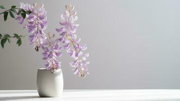 Photo of Wisteria flower in pot isolated on white background. Generative AI