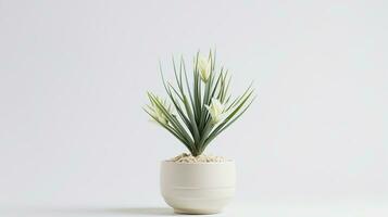 Photo of Yucca flower in pot isolated on white background. Generative AI