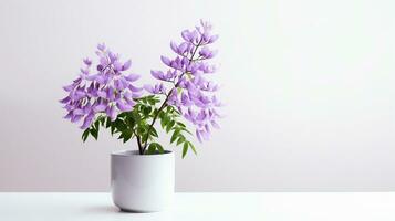 Photo of Wisteria flower in pot isolated on white background. Generative AI