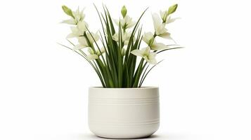 Photo of Yucca flower in pot isolated on white background. Generative AI