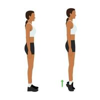 Woman doing tip toe pose move for reduce leg cellulite. Workout diagram about Calves reduction for slim leg. vector