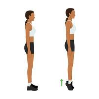 Woman doing tip toe pose move for reduce leg cellulite. Workout diagram about Calves reduction for slim leg. vector