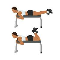 Woman doing Dumbbell Hamstring Curl on Bench exercise. vector