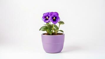 Photo of Violet flower in pot isolated on white background. Generative AI