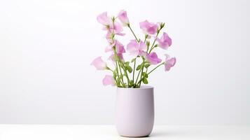 Photo of Sweet Pea flower in pot isolated on white background. Generative AI