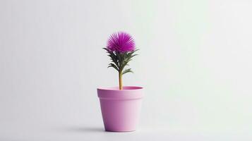 Photo of Thistle flower in pot isolated on white background. Generative AI