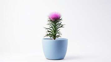 Photo of Thistle flower in pot isolated on white background. Generative AI