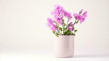 Photo of Sweet Pea flower in pot isolated on white background. Generative AI