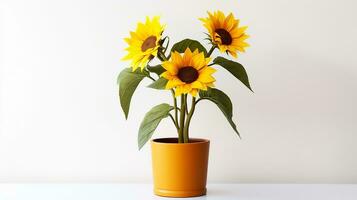 Photo of Sunflower in pot isolated on white background. Generative AI