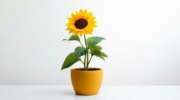 Photo of Sunflower in pot isolated on white background. Generative AI