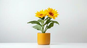 Photo of Sunflower in pot isolated on white background. Generative AI