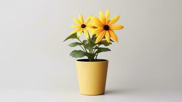 Photo of Rudbeckia flower in pot isolated on white background. Generative AI