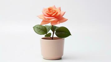 foto de Rosa flor en maceta aislado en blanco antecedentes. generativo ai