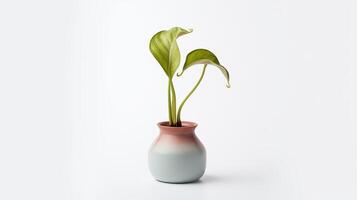 Photo of Pitcher Plant flower in pot isolated on white background. Generative AI