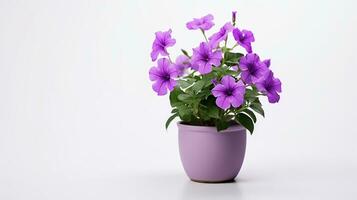 Photo of Petunia flower in pot isolated on white background. Generative AI