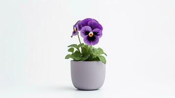 Photo of Pansy flower in pot isolated on white background. Generative AI