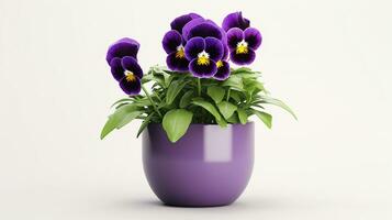 Photo of Pansy flower in pot isolated on white background. Generative AI