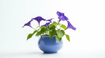 Photo of Morning Glory flower in pot isolated on white background. Generative AI