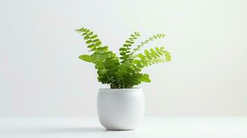 Photo of Maidenhair Fern flower in pot isolated on white background. Generative AI