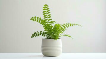 Photo of Maidenhair Fern flower in pot isolated on white background. Generative AI
