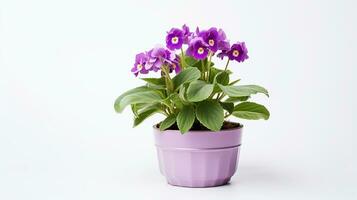 Photo of Lungwort flower in pot isolated on white background. Generative AI