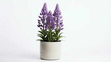 Photo of Lupine flower in pot isolated on white background. Generative AI