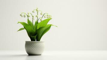 Photo of Lily of the Valley flower in pot isolated on white background. Generative AI