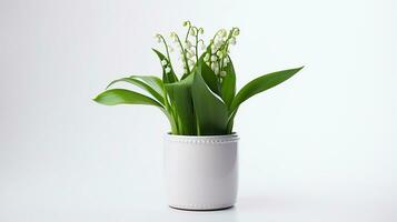 Photo of Lily of the Valley flower in pot isolated on white background. Generative AI