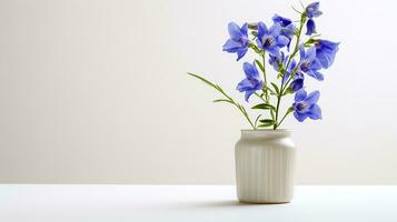 Photo of Larkspur flower in pot isolated on white background. Generative AI