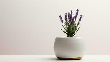 Photo of Lavender flower in pot isolated on white background. Generative AI